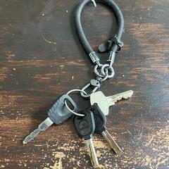 Sleutelbos, como reportado ao iLost