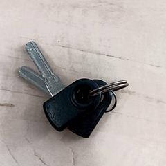 Claus de bicicleta, segons ha informat Arriva Vechtdallijnen mitjançant iLost