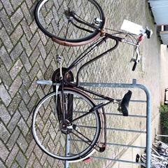 Bicycle Bruin, as reported by Stadswerk072 using iLost