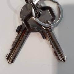 Sleutel, zoals gemeld door Gemeente Oost Gelre met iLost