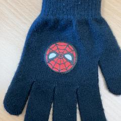 Glove handscg, as reported by Schönbrunn "Group Center" using iLost