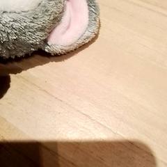 Peluche, come riportato da Beekse Bergen Resorts en Hotel utilizzando iLost