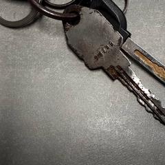 Nøkler Zilver, som rapportert av Arriva Friesland / Groningen ved bruk av iLost