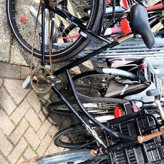Zwarte opoefiets, gemeldet von Stadswerk072 über iLost