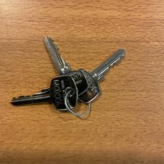 Sleutels, segundo informou Gemeente Amsterdam usando iLost