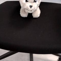 İLost kullanarak Arriva Infoshop Enschede tarafından bildirildiği gibi Sevimli oyuncak