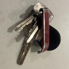 Sleutelbos, jak zgłoszono do iLost