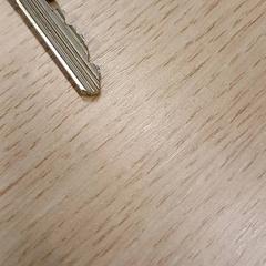 Schlüssel, gemeldet von Gemeente Nijkerk über iLost