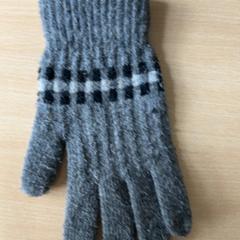 Gants, a été signalé par Schönbrunn "Group Center" utilisant iLost