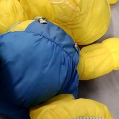 Knuffel, as reported by Arriva Friesland / Groningen using iLost