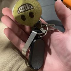 Sleutelbos, as reported to iLost