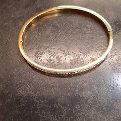 Armband, gemeldet von Rotterdam The Hague Airport über iLost