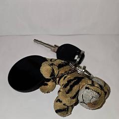 Chiave della bicicletta Fietsensleutel, come riportato da Gemeente Utrecht utilizzando iLost