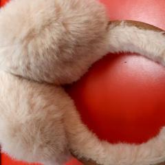 Øreklokker, som rapportert av UvA REC ved bruk av iLost