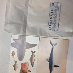 Ansichtkaart, rapporterat av Rijksmuseum van Oudheden med iLost