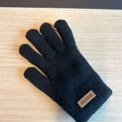 Handschuhe, gemeldet von Amsterdam ID Aparthotel über iLost