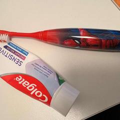 電動歯ブラシ がiLostで Ramada by Wyndham Amsterdam Airport Schiphol によって報告されました