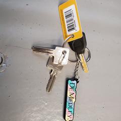 Sleutelbos がiLostに報告されました