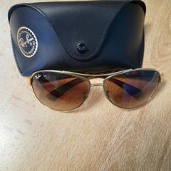 Rayban zonnebril, segons ha informat Dolfinarium mitjançant iLost