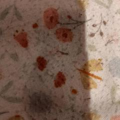 Xoguete de peluche, segundo informou De Efteling usando iLost