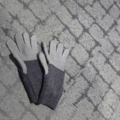 Gloves, as reported by Relais Azalys using iLost