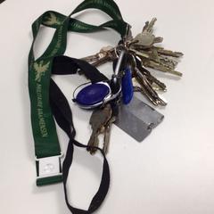 Keychain, as reported by HvA Amstelcampus using iLost