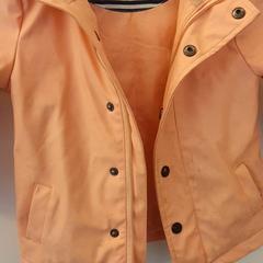 Bunda Roze, jak nahlášeno DierenPark Amersfoort pomocí iLost