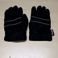 Gloves, as reported by Arriva Oost-Brabant using iLost