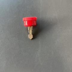 Kulcs, amint azt Burgers' Zoo az iLost segítségével jelentette.