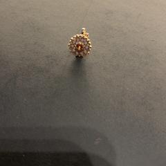 Earring, as reported by Van der Valk Hotel Houten using iLost