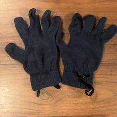 Rukavice, jak nahlášeno Pathé Zaandam pomocí iLost