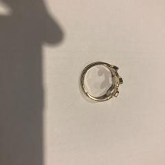 Gyűrű, amint azt Ramada by Wyndham Amsterdam Airport Schiphol az iLost segítségével jelentette.