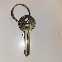 Klucz, zgłoszono przez Ziekenhuis Oost-Limburg przy użyciu iLost