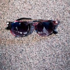 Zonnebril, rapporterat av Burgers' Zoo med iLost