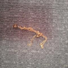 Halsband, rapporterat av Regio Limburg - Leuven med iLost