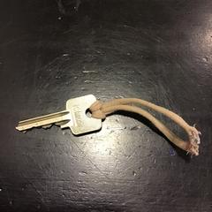 Nøkkel, som rapportert av Qbuzz U-OV ved bruk av iLost