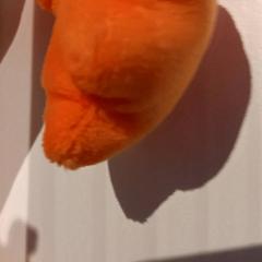 Knuffel, gemeldet von De Efteling über iLost