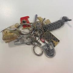 İLost kullanarak Gemeente Ede tarafından bildirildiği gibi Anahtarlık met sleutelhangers