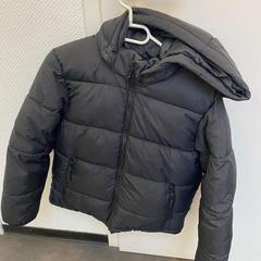 Jacka Schwarz von H&M, rapporterat av Wilmering Vechta med iLost