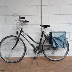 Kvinners sykkel Batavus Blauw, som rapportert av Fietsdepot Hasselt ved bruk av iLost