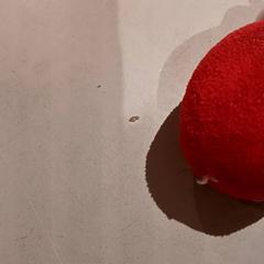 ぬいぐるみ がiLostで De Efteling によって報告されました