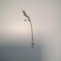 Chaine avec medaille, ha sido reportado por Twisto con iLost