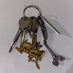 Sleutel, come riportato da Pathé de Kuip utilizzando iLost