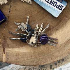 Sleutelbos, come riportato a iLost