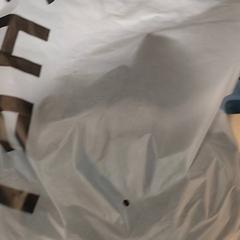 가방 - Plastieken tas, iLost를 사용하여 Centraal magazijn에 보고됨