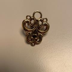 Hair clip, as reported by Pathé Schiedam using iLost