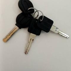 سلسلة المفاتيح، كما تم الإبلاغ عنه بواسطة allGo Almere عبر iLost