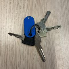 Chaves, como reportado por Gemeente Arnhem utilizando o iLost