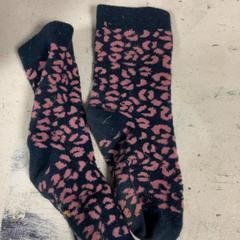 Socks, as reported by Artis using iLost