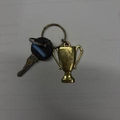 Key, as reported by Stad Hasselt using iLost